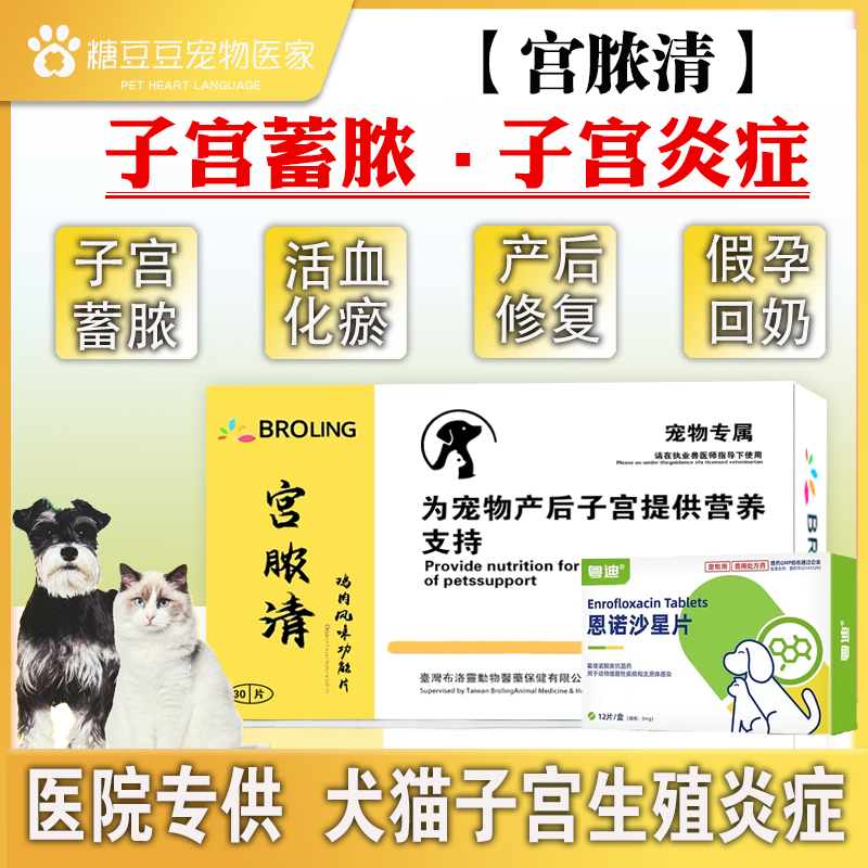 宠物犬猫子宫蓄脓消炎组合