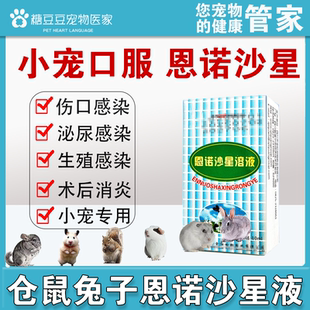 恩诺沙星溶液异宠专用仓鼠兔子龙猫乌龟伤口感染泌尿术后消炎感冒