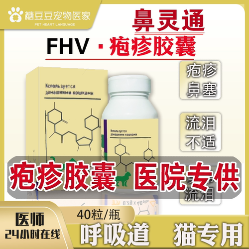 宠物猫疱疹病毒疱疹大师杯状猫鼻支流泪打喷嚏幼猫疱疹大师脸谱