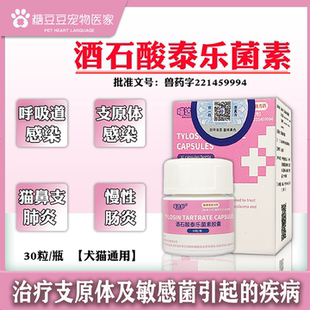 泰利维酒石酸泰乐菌素胶囊猫狗肺炎感冒咳嗽支衣原体感染子宫蓄脓