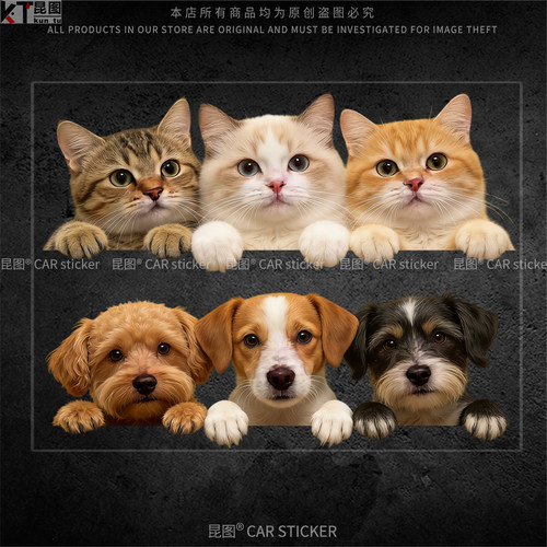 可爱小猫小狗3D汽车贴纸防水防晒