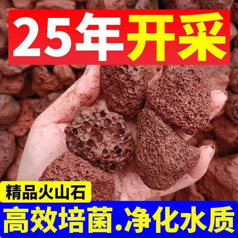 火山石鱼缸造景滤材乌龟晒台铺底石花盆垫底铺面水族过滤专用,农用物资,育苗/栽培基质,淘宝优惠券,粉丝福利购,淘宝优惠卷