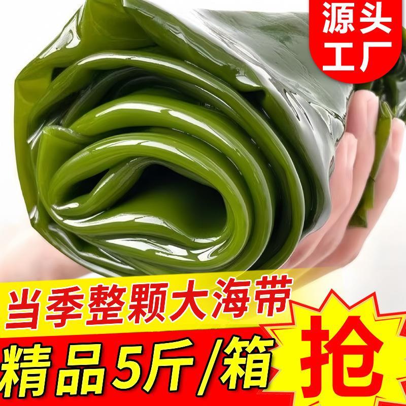 新鲜盐渍整颗大海带包饭荣