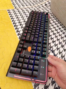 达尔优CK550RGB机械键盘网吧游戏电脑有线红外插拔轴青轴防水清仓