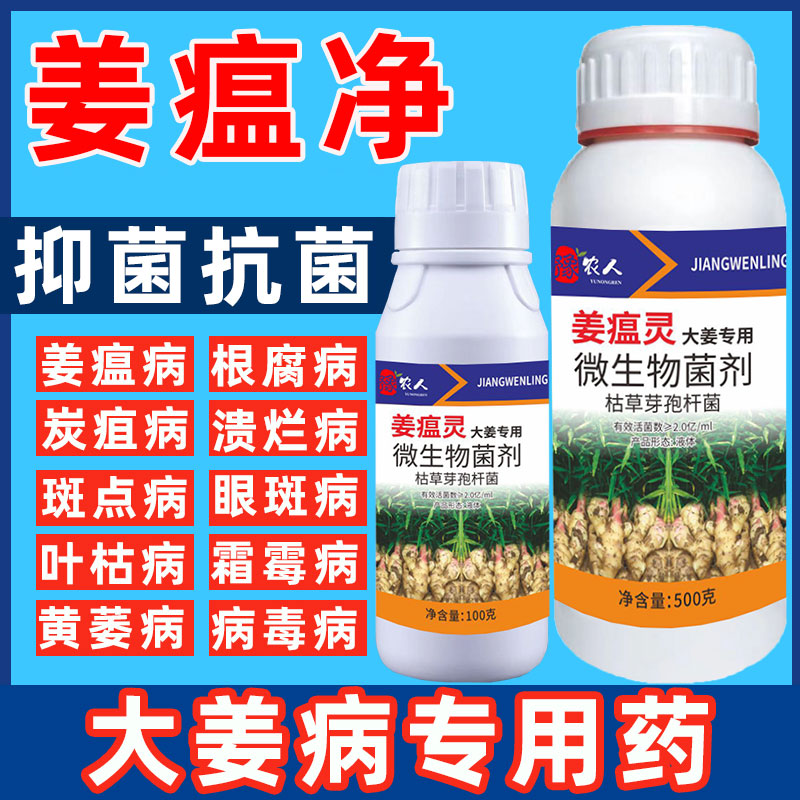 姜瘟净生姜大姜专用药姜病毒清一遍净烂脖子姜瘟灵种姜专用叶面肥