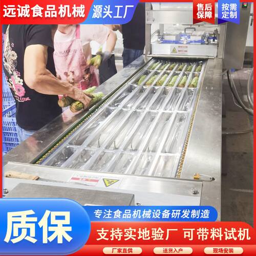 连续拉伸膜真空包装机 牛排烤肠豆制品休闲食品连续式封口设备