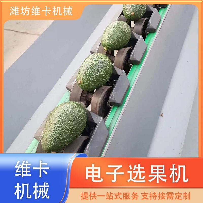 番石榴称重分拣机 人参果重量分级机 多功能重量选果机