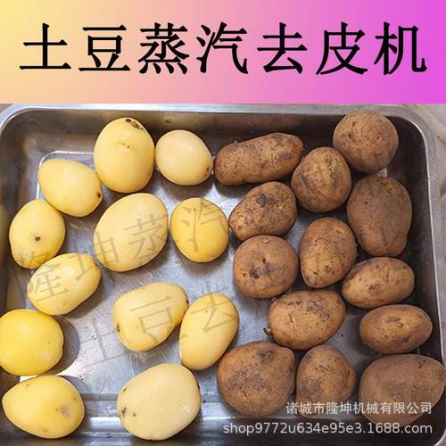 现货大型土豆脱皮机 红薯胡萝卜全自动蒸汽去皮机 山药桔梗削皮机