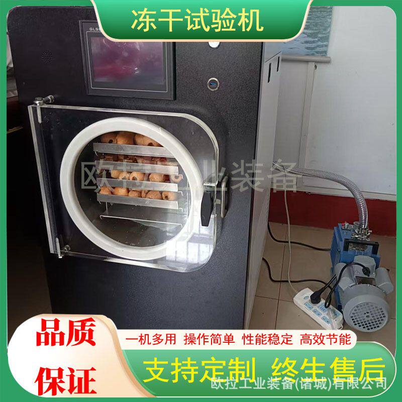 低温真空红薯紫薯类冻干生产实验设备 草莓干芒果干真空冻干设备