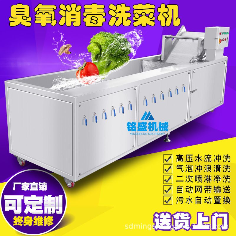 包邮款香菇洗菜机 竹荪臭氧杀菌清洗机 全自动黄花梨杀菌清洗设备