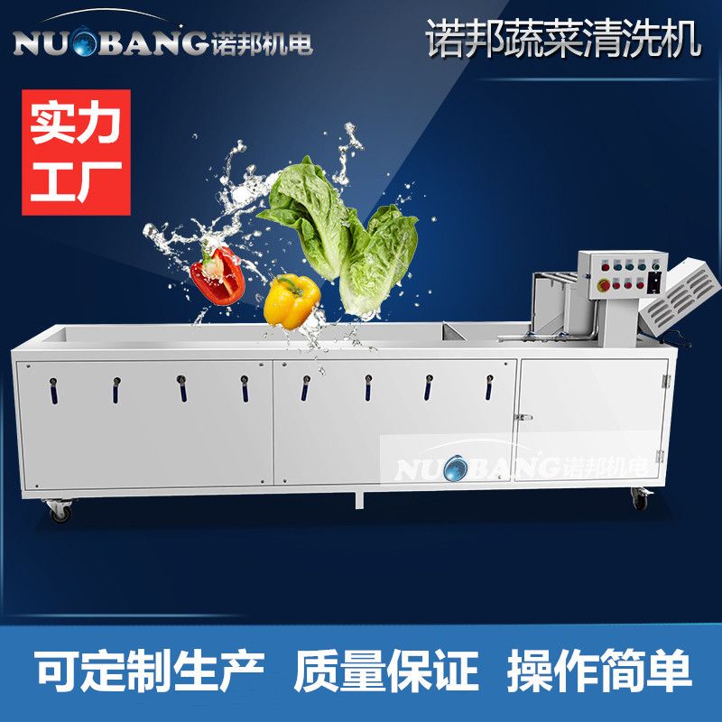 厂家直供阳荷姜清洗机 全自动洋荷清洗机 臭氧消毒果蔬清洗机