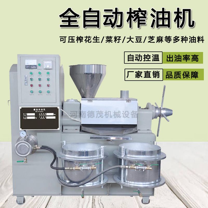 榨油机全自动菜籽花生螺旋榨油机械设备家用小型不锈钢榨油机价格