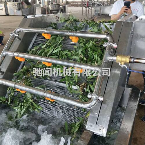 杏鲍菇清洗机 地瓜喷淋式多功能去泥清洗机 全自动果蔬清洗机设备