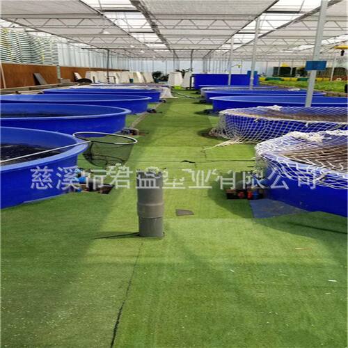 水产养殖用大型生态养殖桶 塑料锦鲤养殖桶 金鱼孵化养殖圆桶