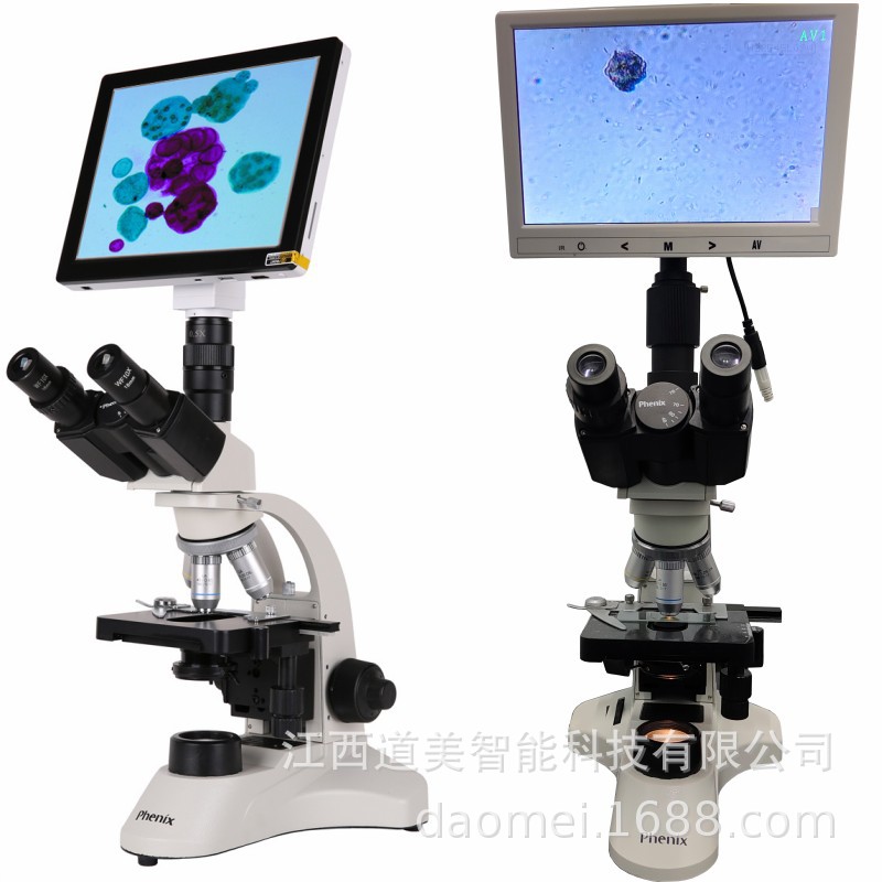 凤凰光学PH50-3A43L-1600X双目/三目生物显微镜配CCD摄像头生物镜