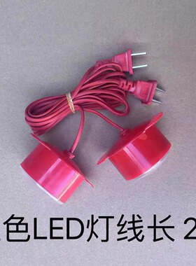 新年中秋国庆佳节大红灯笼专用防水灯1米线50公分线2米线LED灯