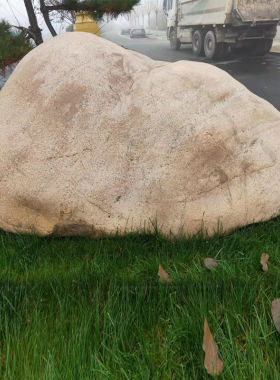 大型河卵石草坪景观石头鹅卵石