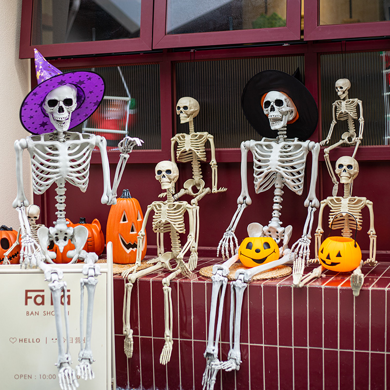 万圣节道具仿真人体骨架骷髅头