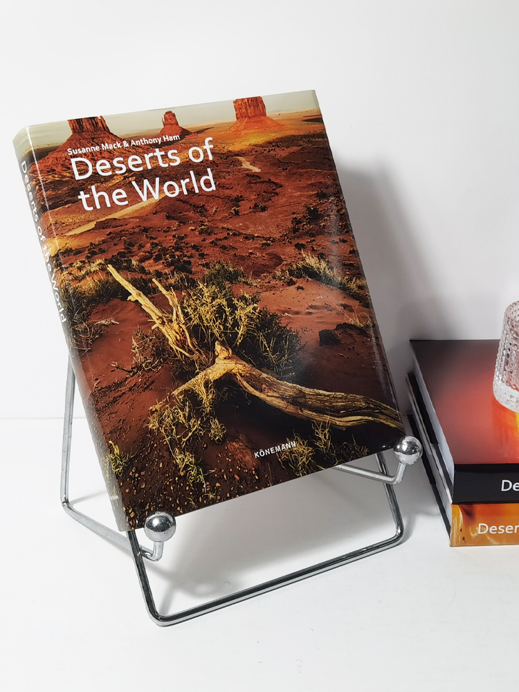 熙思沙漠摄影集样板房装饰真书可翻阅英文摆件售楼处书架摆件