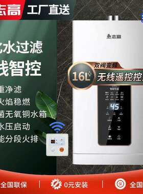 志高燃气热水器瓦斯家用