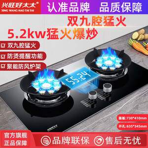 兴旺好太太瓦斯炉双口家