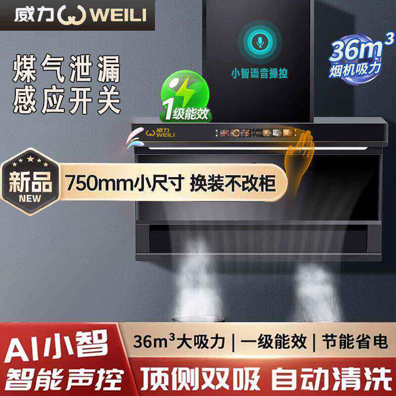 [小尺寸]新款威力抽油烟