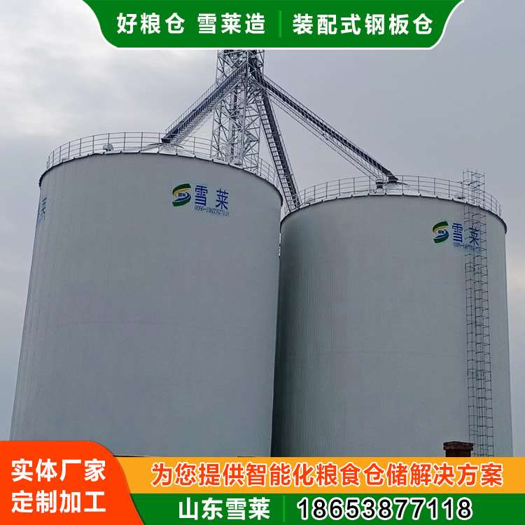 钢板仓5000吨粮仓标准粮食装配式结构粮食钢板仓平底生产厂家
