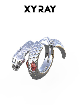 XYRAY蛇年耳环百搭高级感蛇形耳饰吞金小蛇耳环小众设计2025新款