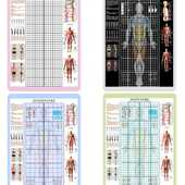 体态评估表墙纸贴式 体测健身房瑜伽馆私教身体形姿矫正网格对比图