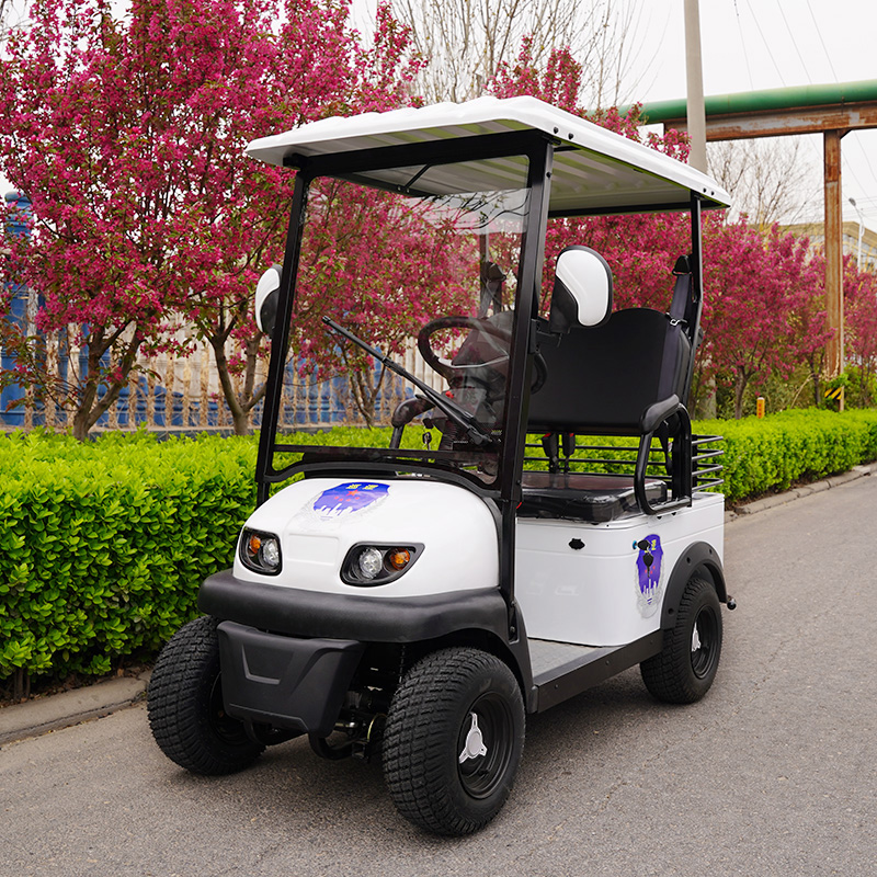 小巴士电动四轮车E600高尔夫球车景区公园观光车巡逻车电瓶车
