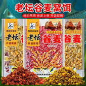 甜薯原浆谷麦钓五谷杂粮玉米饵料谷麦粒野钓鱼饵料溪流打窝颗粒