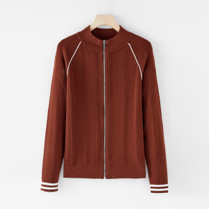 【艾薇严选】2025秋冬修身显瘦长袖针织衫258596