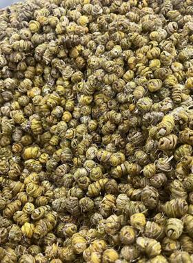 石斛卷枫干和货胶可粉末状成本益价值1效桶0TJD0g