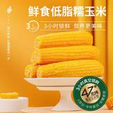 东北黄糯玉米新鲜软糯8根 券后16.9元包邮