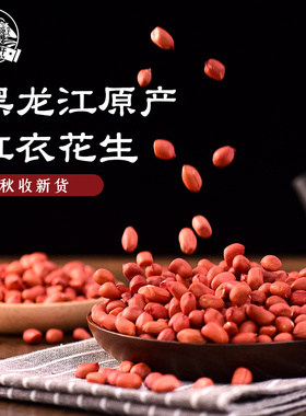 东北红衣花生米下酒菜500g带壳油炸花生仁红皮花生新货食品旗舰店
