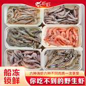 舟山野生樱花虾船冻红虾滑皮虾竹节虾海虾套装 大虾海虾鲜活速冻