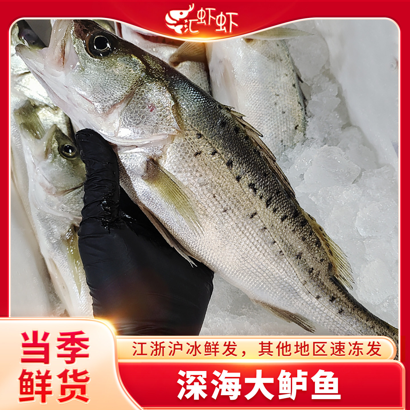 海鲈鱼新鲜冷冻海鲜3斤3条七星鲈鱼海鲜水产鱼类,水产肉类/新鲜蔬果/熟食,鲈鱼,淘宝优惠券,粉丝福利购,淘宝优惠卷