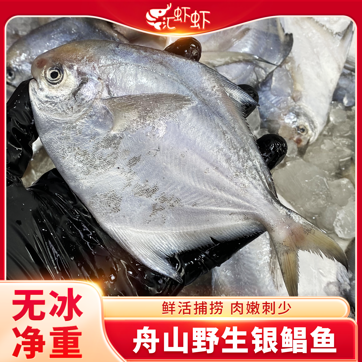 银鲳鱼特大白鲳鱼3斤舟山野生鲳鱼新鲜冷冻银昌鱼海鲜鲜活水产