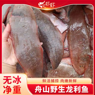 舟山野生真正龙利鱼新鲜冷冻大舌鳎鱼特大玉秃鱼护眼鱼非巴沙鱼片