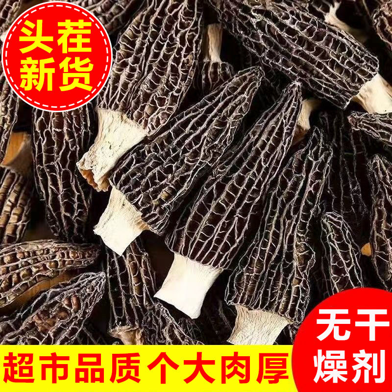 9.9到手2包】新货羊肚菌干货完整肉厚完整大个云南特产羊肚菇菌菇