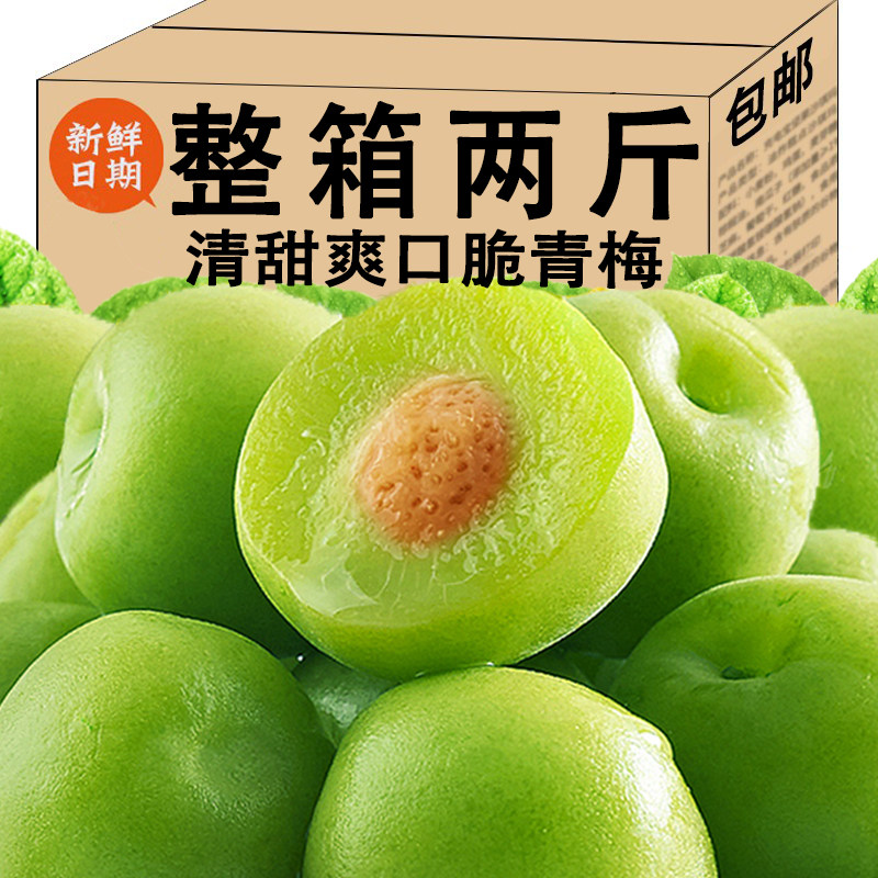 梅子酸甜蜜饯青梅鲜果酸梅子泡酒专用酸脆梅果清甜爽口独立小包装