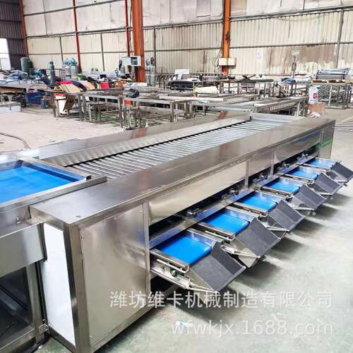 油桃大小分选机 核桃直径分拣机 厂家生产价格实惠