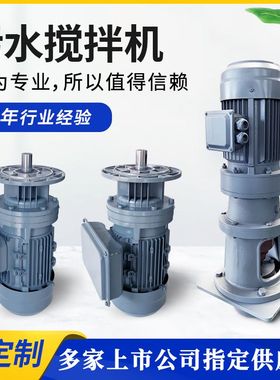 BLD13污水处理立式搅拌机 可制造加药搅拌机 污水处理搅拌器