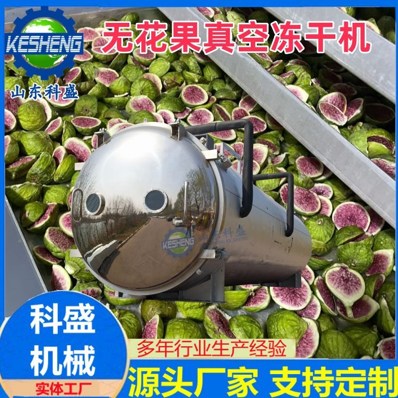 冻干无花果 栀子花茉莉花冻干机 风干肉真空冻干机 锁鲜机