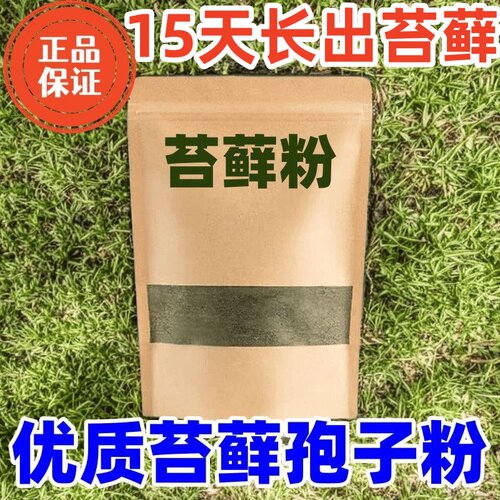 苔藓孢子粉种子粉耐晒青苔吸水石