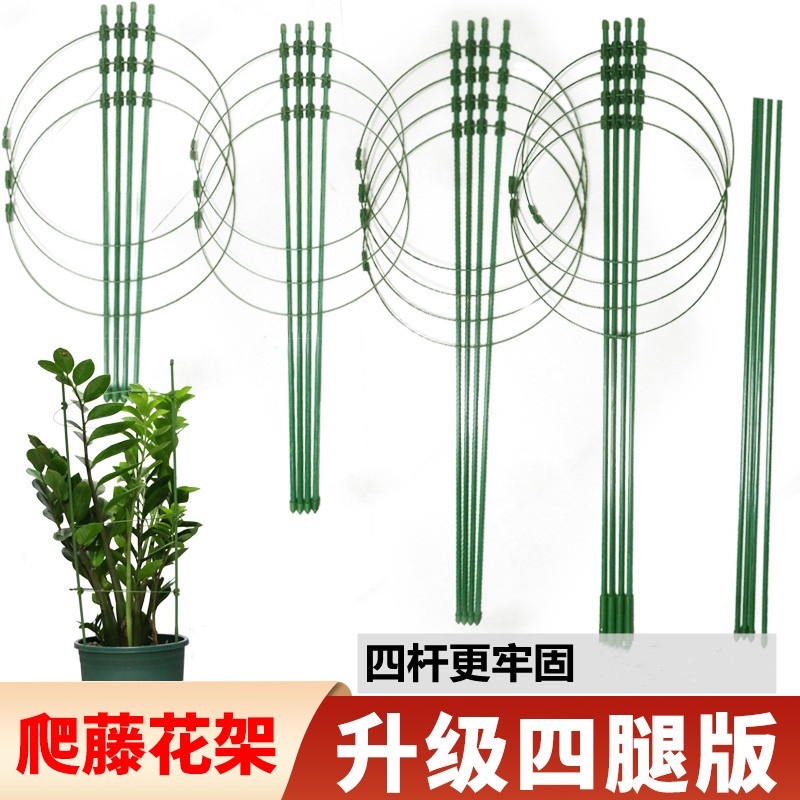 文竹支撑架爬藤架子月季花架室内花卉植物支撑杆绿萝铁线莲攀