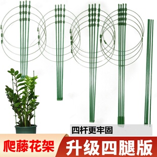 文竹支撑架爬藤架子月季花架室内花卉植物支撑杆绿萝铁线莲攀