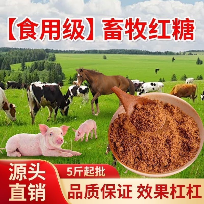 食品级红糖兽用散装批发甘蔗红糖