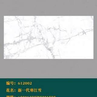 奢石瓷砖大理石地砖600x1200客厅背景墙大花白鱼肚金厨卫生间墙砖