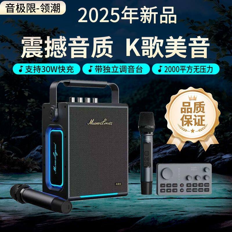 柏林之声300W大功率户外低音炮广场舞音箱 露营聚会K歌蓝牙音响